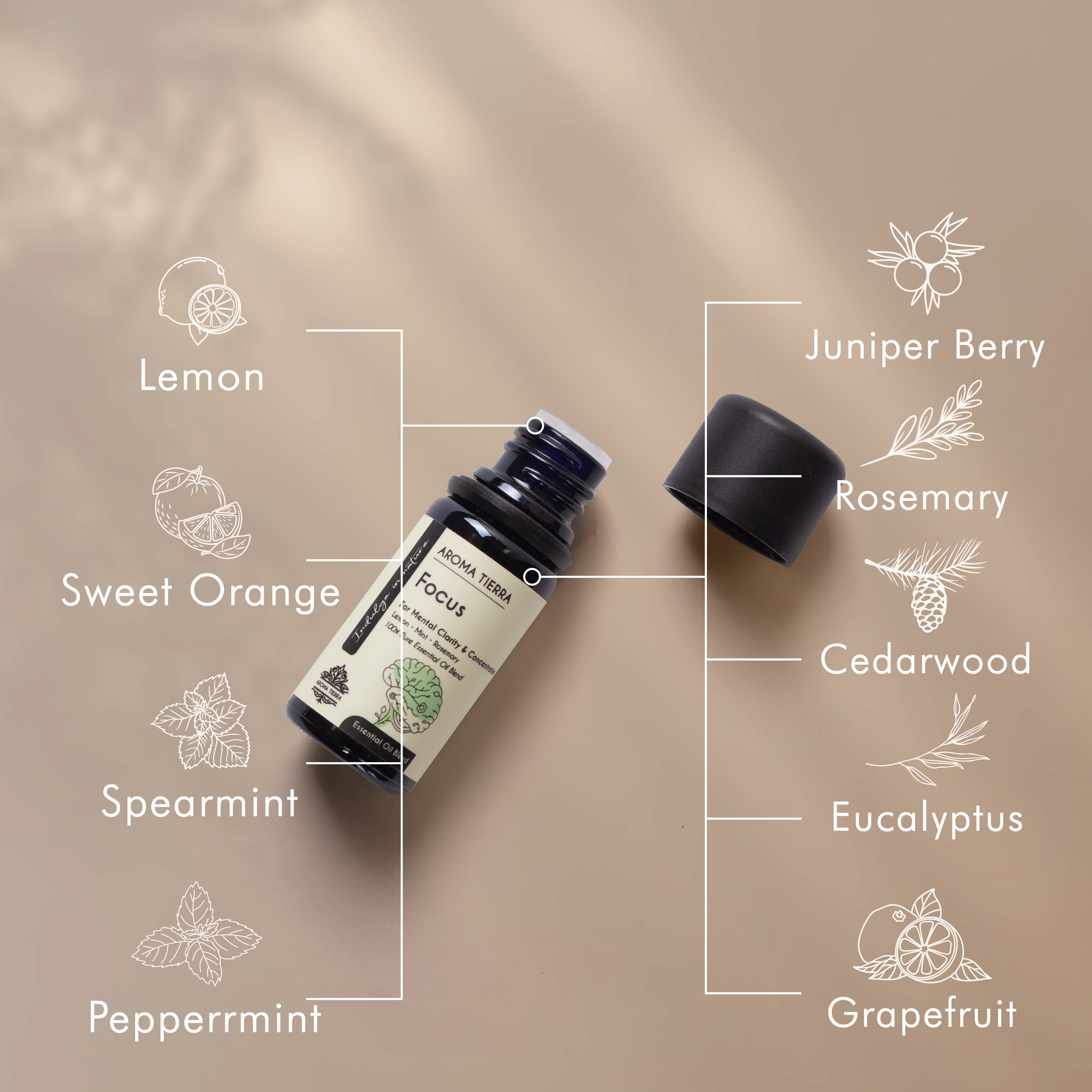 A bottle of Aroma Tierra Focus Essential Oil Blend with the label showing the word 'Focus' and an illustration of a brain. The bottle is black and the label has white and green text.